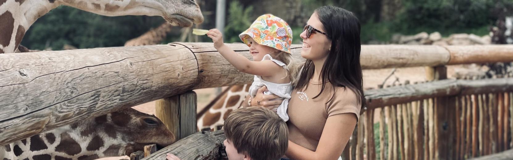 Au pair life abroad au pair with two little kids at the zoo, feeding giraffes